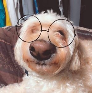 Meet your Posher, Jenn